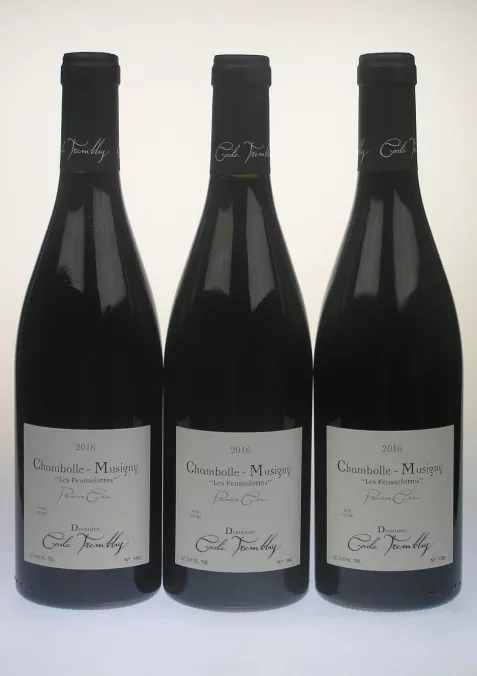 Chambolle-Musigny 1e Cru 'Feusellottes', domaine Cecile Tremblay 2016